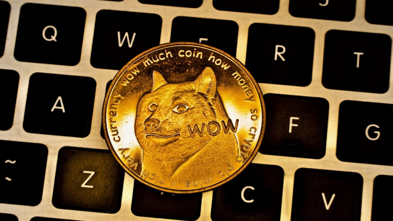 popularidad de Dogecoin