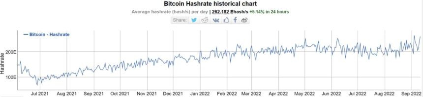 tasa-hash-bitcoin