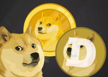 Todo acerca de DOGE: la criptomoneda del momento que subió 700%