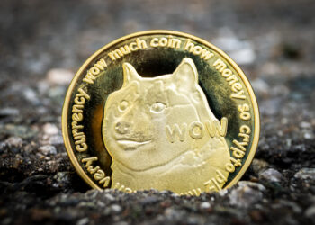 Dogecoin DOGE criptomoneda