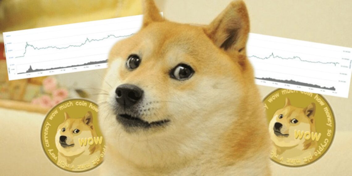 Bitcoin se lleva toda la atención y DOGE se desploma un 23%