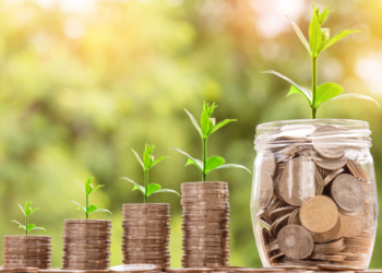 criptomonedas verdes