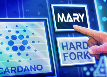 CARDANO: la criptomoneda que pudiera hacerle sombra al bitcoin y amenaza a ethereum