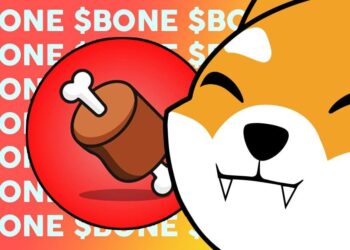 45,000 BONE han salido del mercado gracias a Token Xcent