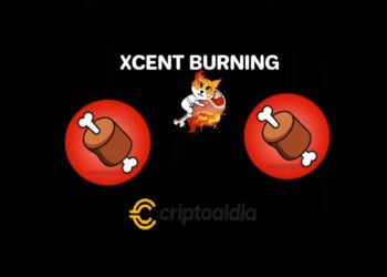 Conoce a XCENT un token que ha quemado 44,900 BONE
