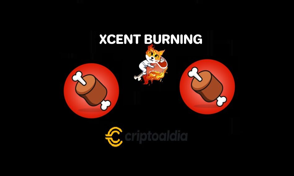Conoce a XCENT un token que ha quemado 44,900 BONE