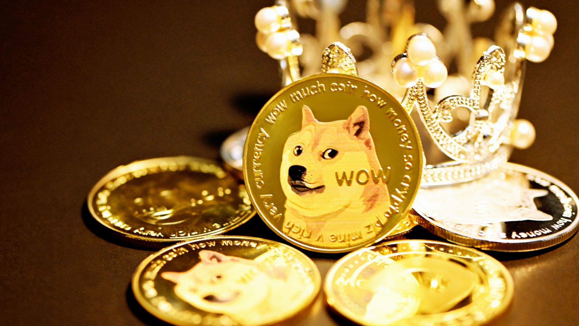 QUEMA DE SHIBA INU