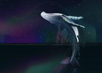 ballenas-bitcoin-ethereum