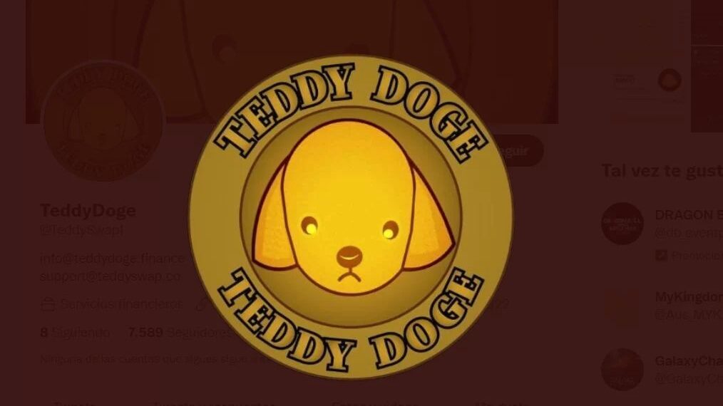 teddy-doge-rugpull-dogecoin