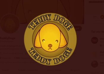 teddy-doge-rugpull-dogecoin