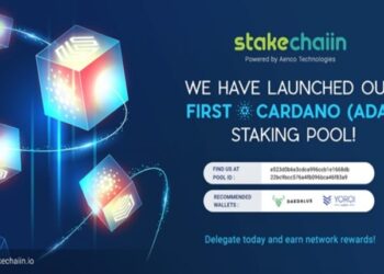 Presentamos Stakechaiin y el lanzamiento de su primer staking pool de Cardano (ADA)
