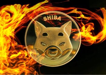 Quema de SHIB