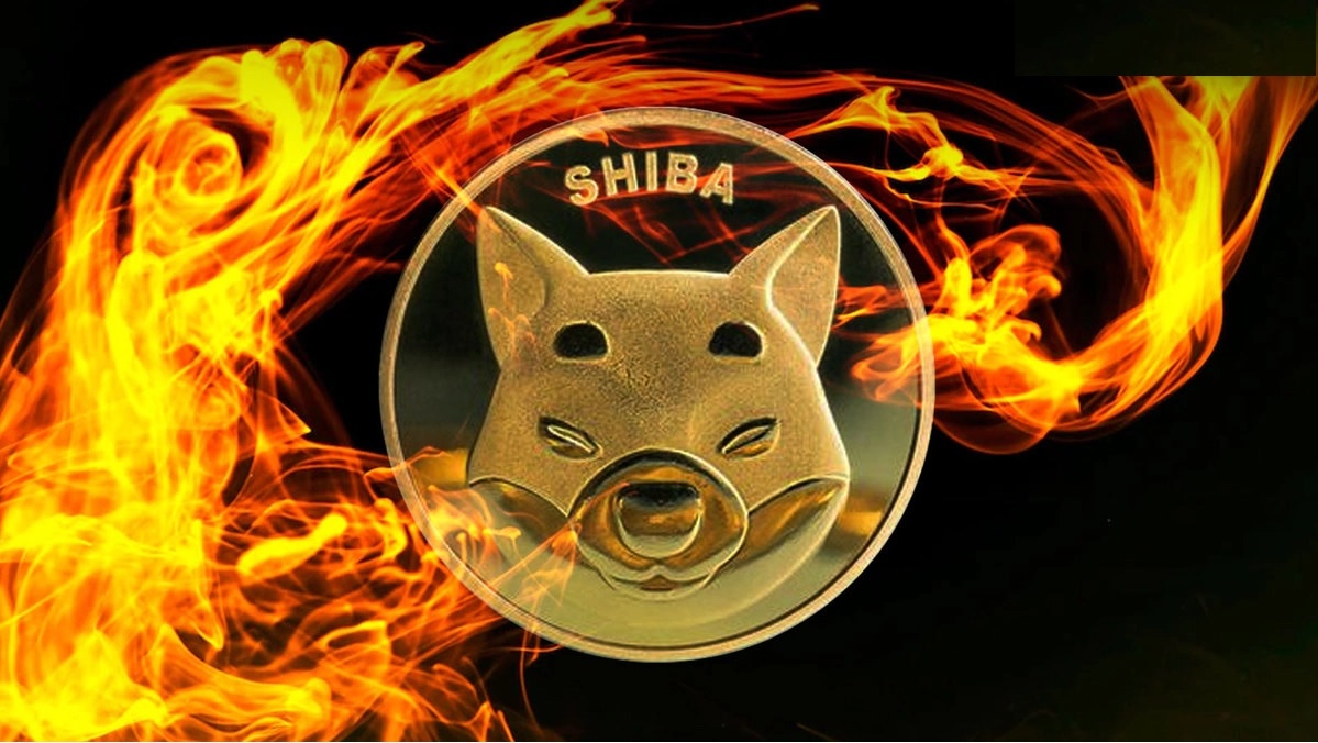Quema de SHIB