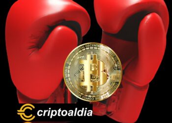 APUESTAN 17 BITCOIN EN BOX Y LOS PIERDEN.