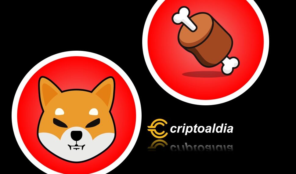 ¿Token Shiba inu y Bone, explotaran con shibarium?