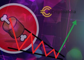 ¡Shibarium!: El Resurgimiento de BONE y el Impacto en el Ecosistema de Shibainu