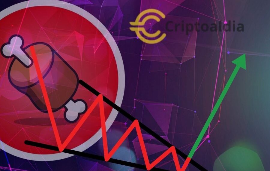 ¡Shibarium!: El Resurgimiento de BONE y el Impacto en el Ecosistema de Shibainu