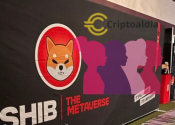 Shiba Inu Metaverse: Impulsando la Diversidad de Género en Blockchain con Asociación Revolucionaria con IWB y NowPayments