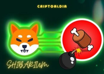 ¡Se termina la espera, llega SHIBARIUM y BONE Explota!