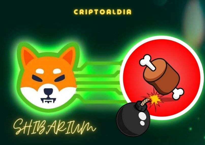 ¡Se termina la espera, llega SHIBARIUM y BONE Explota!