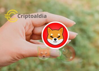 ¿Ballenas siguen acumulando Shibainu Sabrán algo?