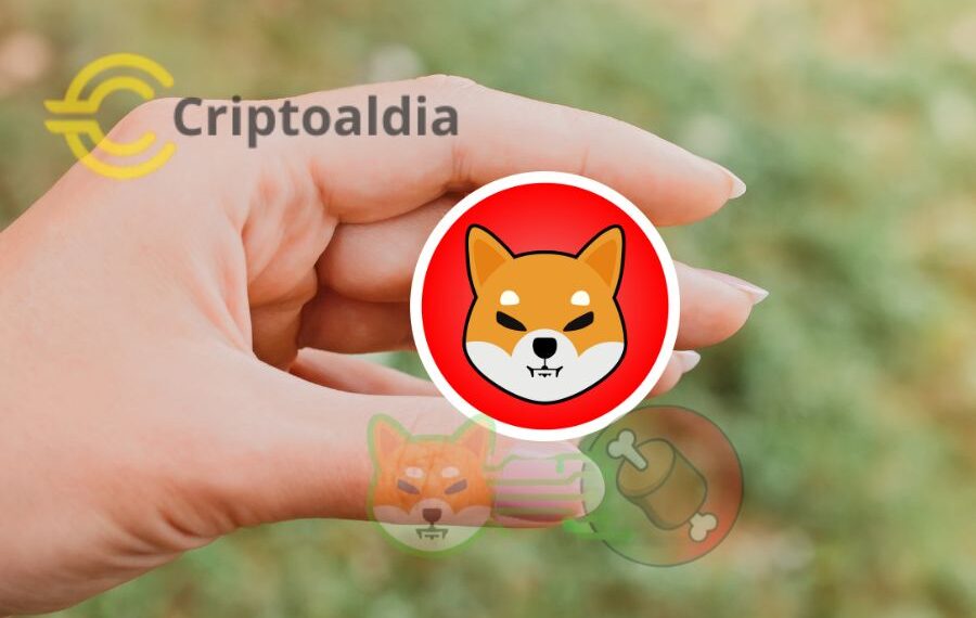 ¿Ballenas siguen acumulando Shibainu Sabrán algo?