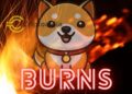 Baby Doge Coin en llamas: su espectacular quema de tokens acapara las miradas en el criptomercado