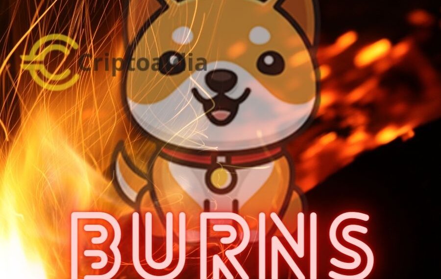 Baby Doge Coin en llamas: su espectacular quema de tokens acapara las miradas en el criptomercado