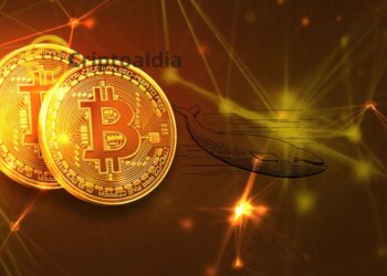«Movimientos inesperados: Grandes inversores de Bitcoin agitan las aguas del mercado»