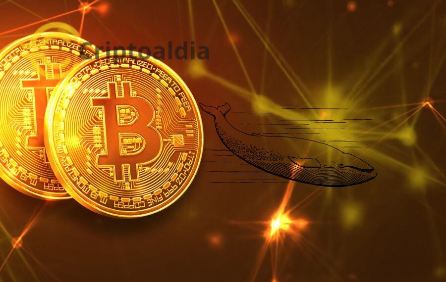 «Movimientos inesperados: Grandes inversores de Bitcoin agitan las aguas del mercado»