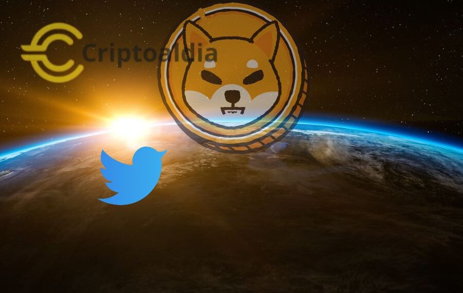 «Shiba Inu se consolida como segunda criptomoneda canina más popular: ¡3.7 millones de seguidores!»