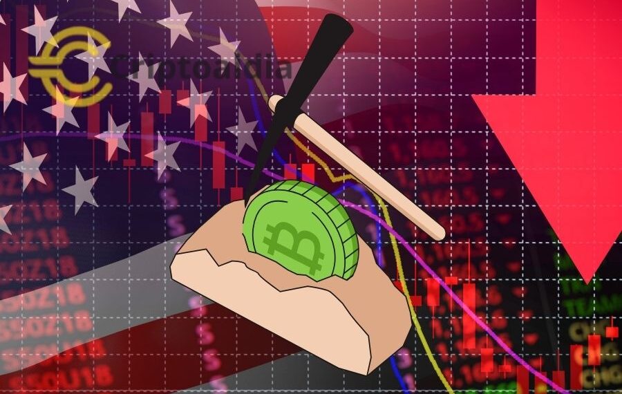 «Bitdeer en Crisis: Pérdida de $60.4 Millones y Desplome en Acciones tras Debut en Nasdaq – ¿Qué Pasó con la Gigante Minera?»