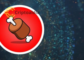 «El token BONE de Shiba Inu gana popularidad: Exchanges centralizados apuestan por su futuro»