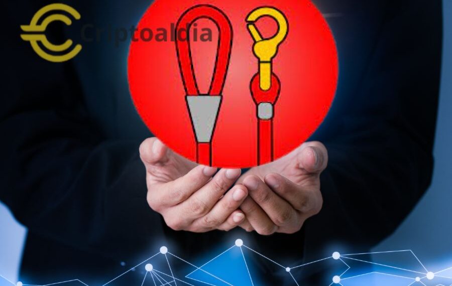 ¿Token LEASH Infravalorado?: El exclusivo token de Shiba Inu: Beneficios y acceso VIP en el mundo cripto