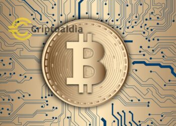 ¿Invertir en Bitcoin? Conozca los riesgos y oportunidades en el auge criptográfico»