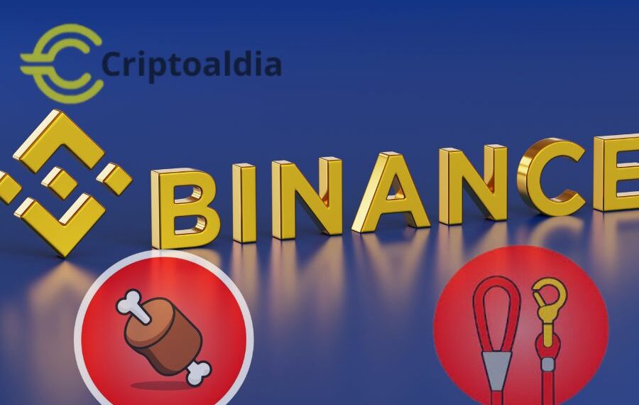 Mazrael reta a Changpeng Zhao en Shiba Eternity: por el futuro de BONE y LEASH en Binance