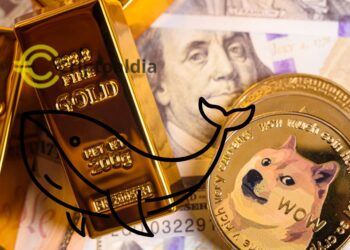 ¡Despierta Gigante Dormido! Ballena Dogecoin Inactiva desde 2014 Mueve Millones de Monedas