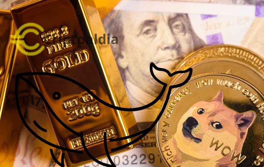 ¡Despierta Gigante Dormido! Ballena Dogecoin Inactiva desde 2014 Mueve Millones de Monedas