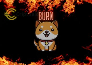 ¿El futuro de BabyDoge? Proyecciones revelan cuándo alcanzaría una reducción del 99% en su suministro. Te decimos en que Año.