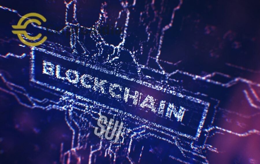 Sui, la Innovadora Blockchain de Capa 1 que Atrae Millones: ¿El Nuevo Gigante de NFT y Videojuegos Cripto?