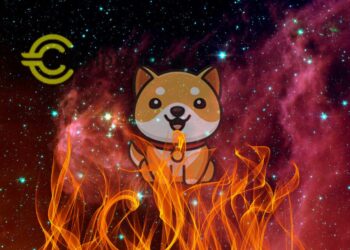 ¡Estrategia Ardiente! Baby DogeCoin Propone Quema de 100 Cuatrillones