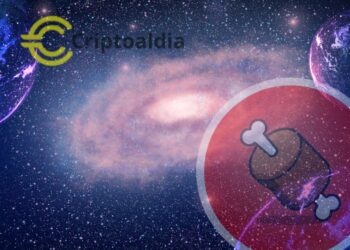 «Bone ShibaSwap: El Favorito de la India. Un 84.7% de Votos lo Catapulta Hacia la Inclusión en Unocoin»