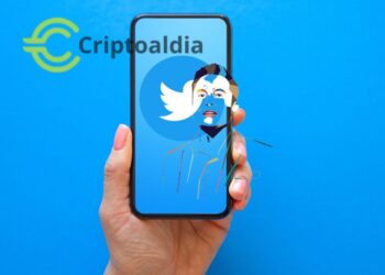 «¡El Poder de un Tweet! El Efecto Musk Dispara las Ventas de Milady NFT, Pero la Emoción Se Desvanece»