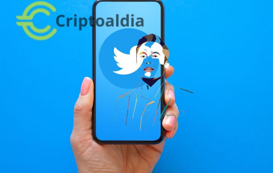 «¡El Poder de un Tweet! El Efecto Musk Dispara las Ventas de Milady NFT, Pero la Emoción Se Desvanece»