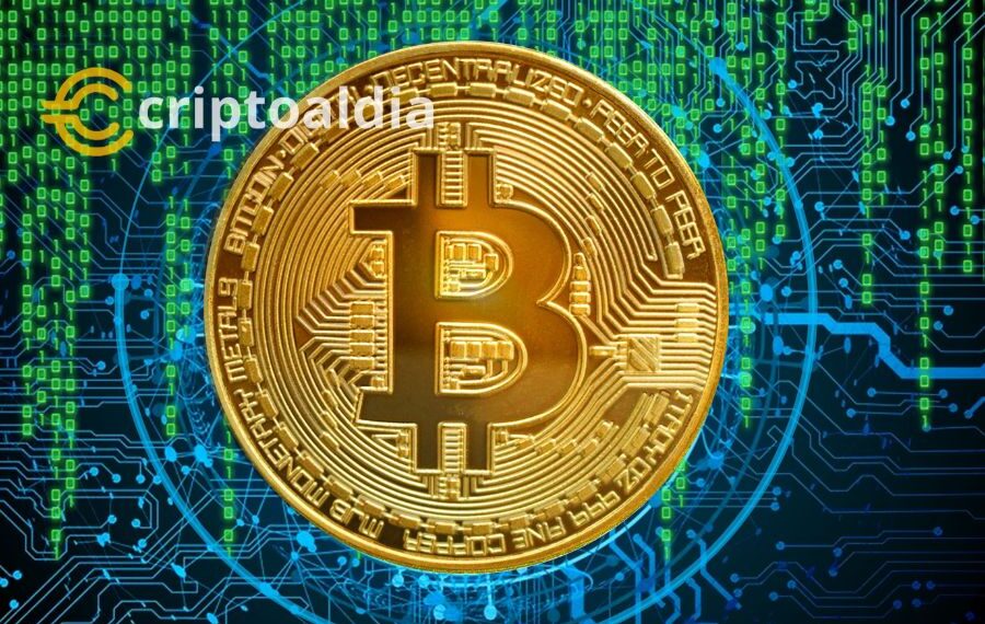 «Peter Schiff da un giro inesperado: Liderará proyecto de arte digital en la blockchain de Bitcoin Ordinals»