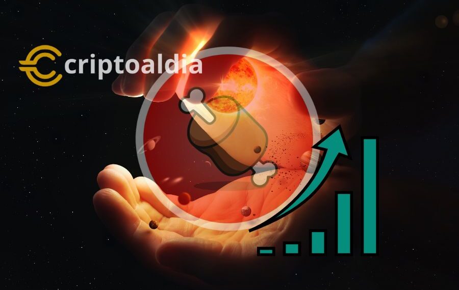 «BONE de Shiba Inu Destaca entre las Cripto-Caninas: Aumenta un 21% en una Semana»
