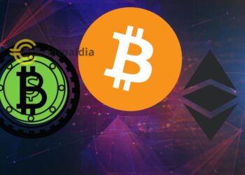 El paisaje actual de las criptomonedas: Análisis detallado de Bitcoin, Bitcoin Cash y Ethereum