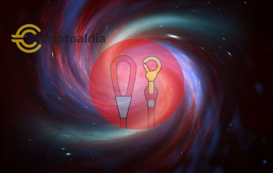 El potencial alcance de LEASH, la moneda exclusiva del ecosistema SHIB