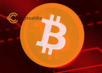 ¡Una ballena desata el caos en Bitfinex al descargar una fortuna de $6.2 millones en Bitcoin en solo un minuto!»