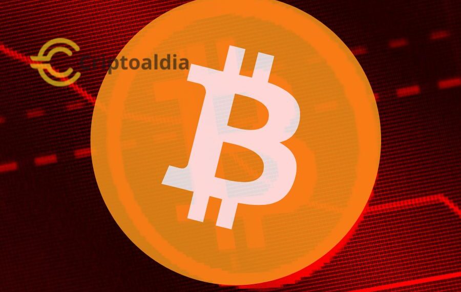 ¡Una ballena desata el caos en Bitfinex al descargar una fortuna de $6.2 millones en Bitcoin en solo un minuto!»